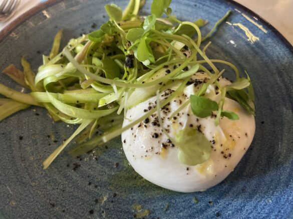 Burrata