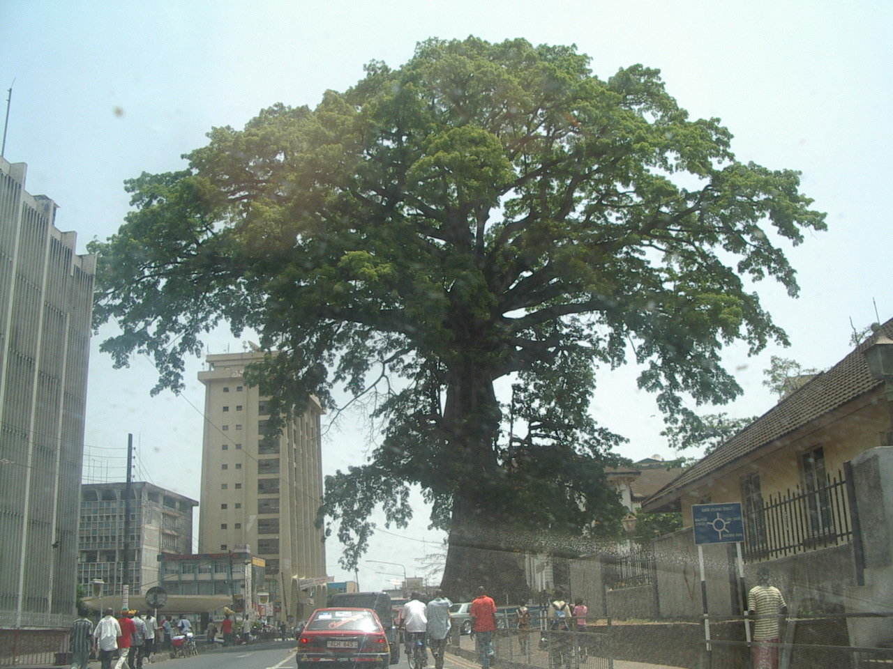 Cotton Tree, Freetown, Sierra Leone