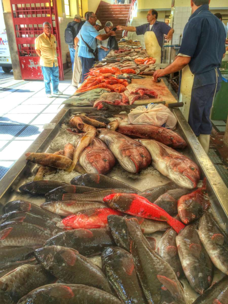 Market in Funchal, Madeira: fish